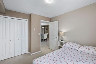 Photo 24: 301 15 Saddlestone Way NE in Calgary: Saddle Ridge Apartment for sale : MLS®# A1209636