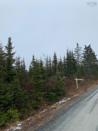 Photo 7: Lot 3 53 Boutiliers Island Road in Mushaboom: 35-Halifax County East Vacant Land for sale (Halifax-Dartmouth)  : MLS®# 202305335