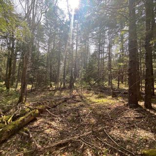 Photo 16: Lot 8 Old Trunk Highway 3 in Hebbs Cross: 405-Lunenburg County Vacant Land for sale (South Shore)  : MLS®# 202300313