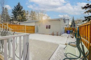 Photo 43: 419 36 Street SW in Calgary: Spruce Cliff Detached for sale : MLS®# A2110832