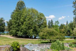Photo 3: 1213 COTTONWOOD Avenue in Coquitlam: Central Coquitlam House for sale : MLS®# R2292834