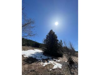 Photo 11: 201 JOLIFFE WAY in Rossland: Vacant Land for sale : MLS®# 2475917