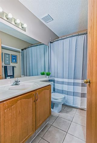 Photo 30: 52 Applewood Court SE in Calgary: Applewood Park Detached for sale : MLS®# A2018208