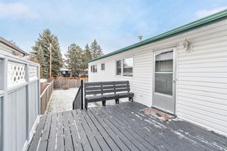 Photo 34: 2 Maple Court Crescent SE in Calgary: Maple Ridge Detached for sale : MLS®# A1197971