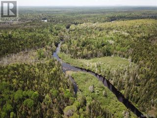 Photo 19: Lot A Canoose Stream Road in Canoose: Vacant Land for sale : MLS®# NB090908