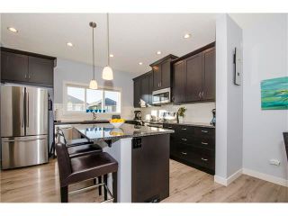 Photo 9: 587 EVANSTON Drive NW in Calgary: Evanston House for sale : MLS®# C4060637