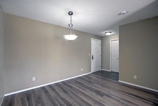 Photo 5: 4317 10 Prestwick Bay SE in Calgary: McKenzie Towne Apartment for sale : MLS®# A1201814