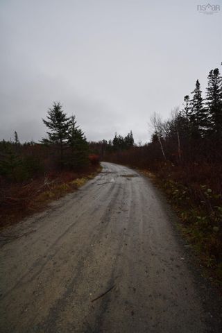 Photo 6: Lot 3 101 Highway in Plympton: Digby County Vacant Land for sale (Annapolis Valley)  : MLS®# 202306552
