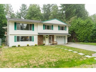 Photo 3: 19781 38A Avenue in Langley: Brookswood Langley House for sale : MLS®# R2499053