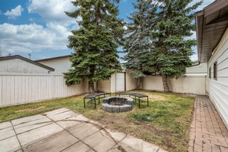 Photo 32: 227 Rundleson Place NE in Calgary: Rundle Detached for sale : MLS®# A1166551