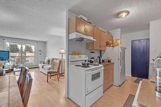 Photo 9: 401 3420 50 Street NW in Calgary: Varsity Apartment for sale : MLS®# A2127023