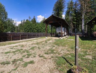 Main Photo: Site 8 1701 Ireland Road in Seymour Arm: Recreational for sale : MLS®# 10279155