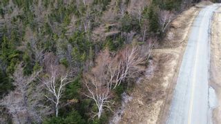 Photo 10: Plateau Road in Chéticamp: 306-Inverness County / Inverness Vacant Land for sale (Highland Region)  : MLS®# 202405435