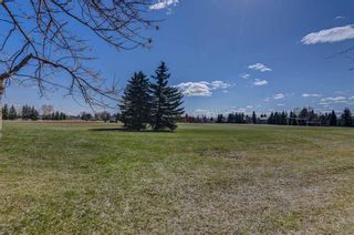 Photo 49: 20 Woodfield Road SW in Calgary: Woodbine Detached for sale : MLS®# A1100408