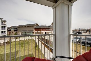 Photo 23: 204 110 Auburn Meadows View SE in Calgary: Auburn Bay Apartment for sale : MLS®# A1216719
