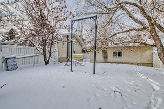 Photo 38: 6904 Hunterbow Crescent NW in Calgary: Huntington Hills Detached for sale : MLS®# A2020602