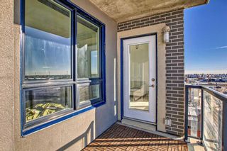 Photo 19: 1012 8880 Horton Road SW in Calgary: Haysboro Apartment for sale : MLS®# A2096304