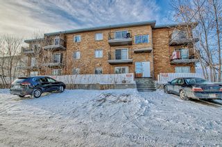 Photo 19: 201 4328 4 Street NW in Calgary: Highland Park Apartment for sale : MLS®# A2018124