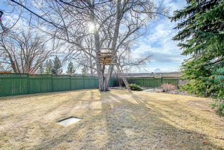 Photo 3: 463 Cedarille Crescent SW in Calgary: Cedarbrae Detached for sale : MLS®# A1196341