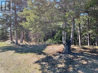 Photo 2: 51 Seal Cove Road in Stephenville Crossing: Vacant Land for sale : MLS®# 1250550