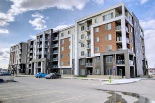 Main Photo: 1203 4641 128 Avenue NE in Calgary: Skyview Ranch Apartment for sale : MLS®# A2022366