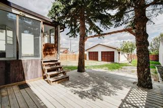 Photo 32: 132 Beddington Circle NE in Calgary: Beddington Heights Detached for sale : MLS®# A1226102