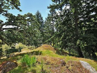 Photo 16: 637 Rason Rd in Langford: La Thetis Heights House for sale : MLS®# 633393
