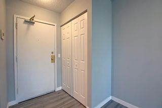 Photo 2: 301 1712 38 Street SE in Calgary: Forest Lawn Apartment for sale : MLS®# A1228751
