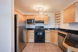 Photo 8: 303 1631 28 Avenue SW in Calgary: South Calgary Apartment for sale : MLS®# A2031196