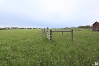 Photo 17: RR 13 TWP 473A: Rural Leduc County Vacant Lot/Land for sale : MLS®# E4376029