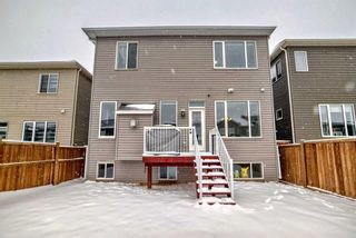 Photo 36: 91 Carrington Crescent NW in Calgary: Carrington Detached for sale : MLS®# A2120686