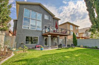 Photo 34: 251 Mt Assiniboine Circle SE in Calgary: McKenzie Lake Detached for sale : MLS®# A2063702