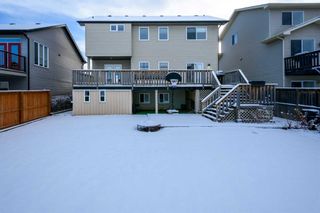 Photo 31: 12 Dallaire Drive: Carstairs Detached for sale : MLS®# A2094076