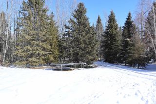 Photo 48: 461008 RR 10: Rural Wetaskiwin County House for sale : MLS®# E4284325