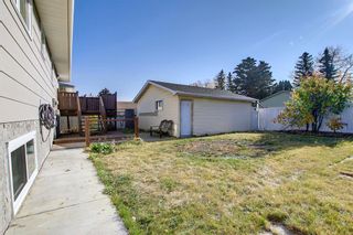 Photo 25: 527 Whitehorn Way NE in Calgary: Whitehorn Detached for sale : MLS®# A2006657