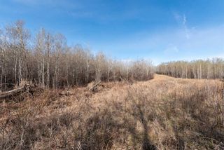 Photo 22: 50251 Rge. Rd. 25 in Rural Vermilion River, County of: Rural Vermilion River County Residential Land for sale : MLS®# A2107926