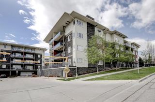 Photo 32: 308 23 Millrise Drive SW in Calgary: Millrise Apartment for sale : MLS®# A1220681