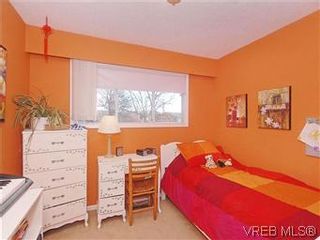 Photo 12: 842 Coles Street in VICTORIA: Es Gorge Vale Residential for sale (Esquimalt)  : MLS®# 306892