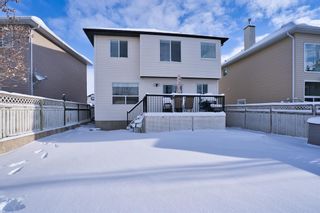 Photo 32: 29 Citadel Estates Terrace NW in Calgary: Citadel Detached for sale : MLS®# A2021767
