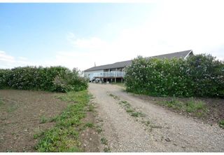 Photo 14: 283208 Range Road 284 in Rural Rocky View County: Rural Rocky View MD Detached for sale : MLS®# A2018971
