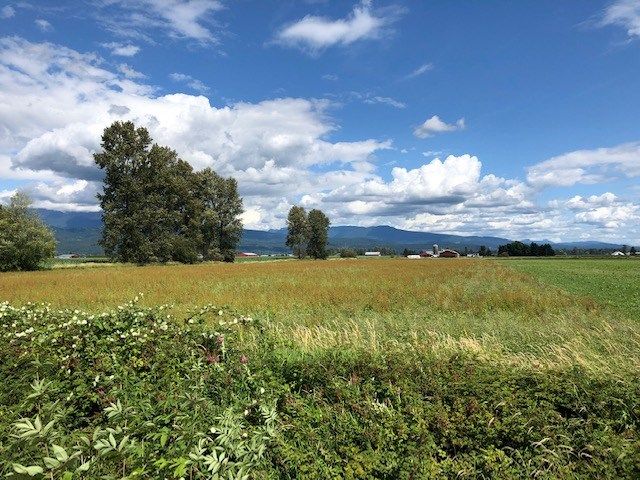 Main Photo: LOT 23 HALE Road in Pitt Meadows: North Meadows PI Land for sale : MLS®# R2432680