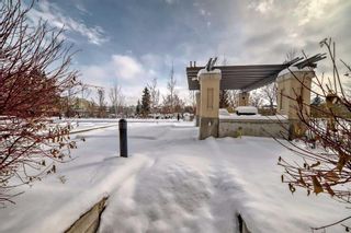 Photo 33: 320 38 9 Street NE in Calgary: Bridgeland/Riverside Apartment for sale : MLS®# A2128134