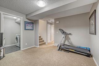 Photo 24: 99 Walden Terrace SE in Calgary: Walden Semi Detached (Half Duplex) for sale : MLS®# A2019284