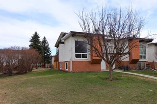Photo 18: 241 Pinemont Road NE in Calgary: Pineridge Semi Detached (Half Duplex) for sale : MLS®# A2122804