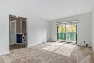 Photo 11: 7006 54 Avenue NW in Calgary: Silver Springs Semi Detached (Half Duplex) for sale : MLS®# A2079697