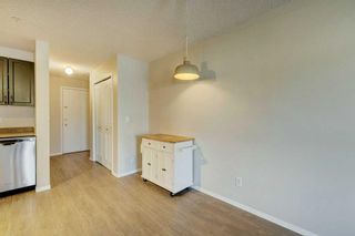 Photo 28: 5309 604 8 Street SW: Airdrie Apartment for sale : MLS®# A2125479