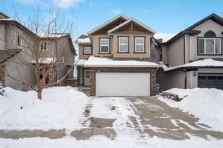 Photo 1: 88 Cranberry Circle SE in Calgary: Cranston Detached for sale : MLS®# A2031437