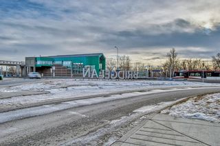 Photo 44: #610 46 9 Street NE in Calgary: Bridgeland/Riverside Apartment for sale : MLS®# A2016357