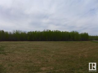 Photo 19: 50 Ave RR 281: Rural Wetaskiwin County Vacant Lot/Land for sale : MLS®# E4299520