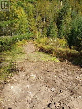 Photo 35: 7788 Trans Canada Highway in Revelstoke: Vacant Land for sale : MLS®# 10273662